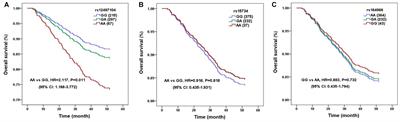 Genetic Polymorphisms of Long Non-coding RNA Linc00312 Are Associated With Susceptibility and Predict Poor Survival of Nasopharyngeal Carcinoma